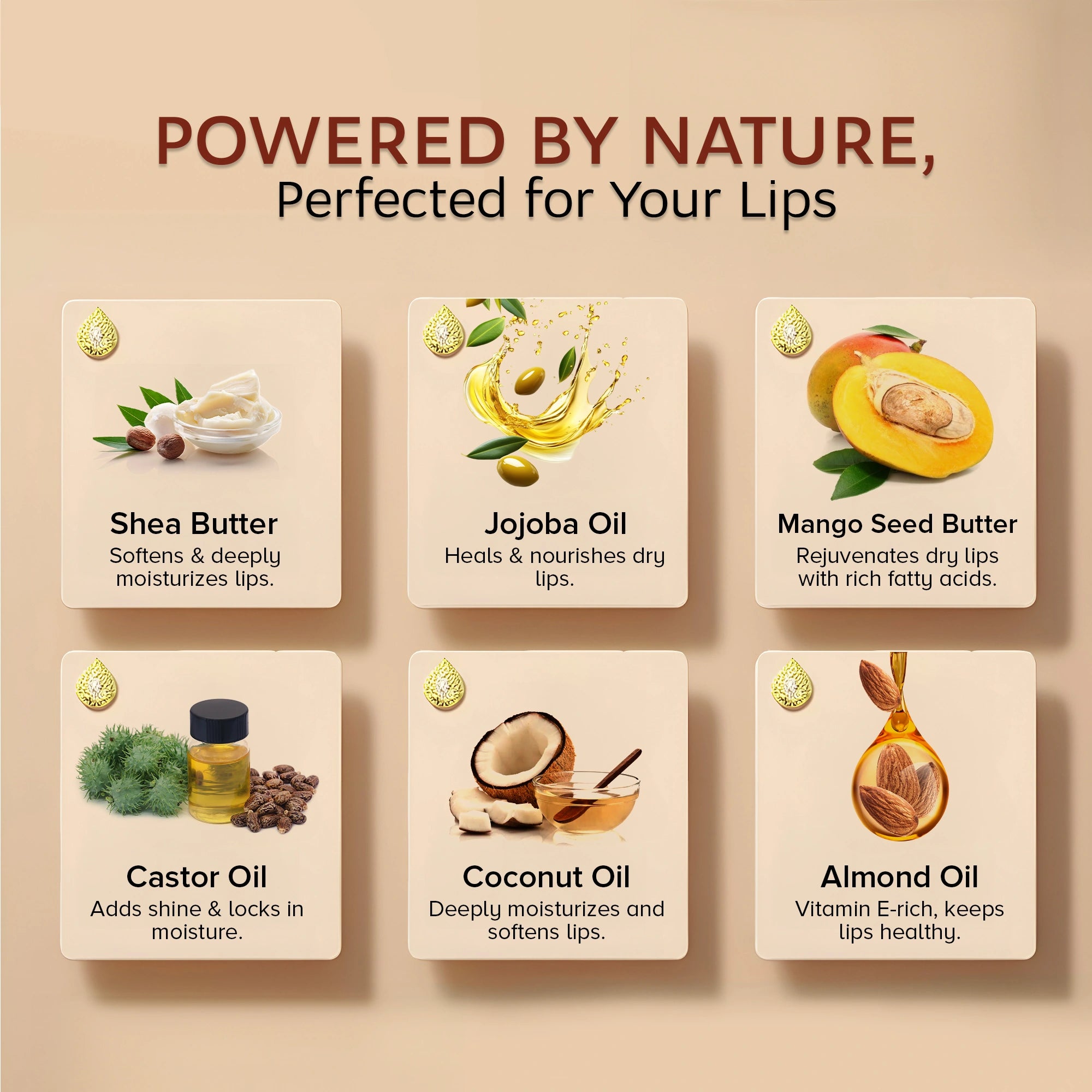 Dunamiss Glimmer Lip Balm – Hazel Glitter | Shimmer Nourish Finish