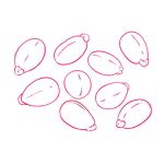 No White Cast 2